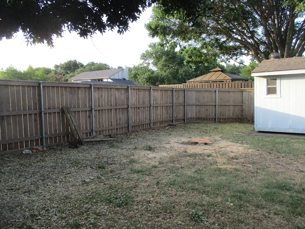 Cleared yard after professional tree removal in Bingen